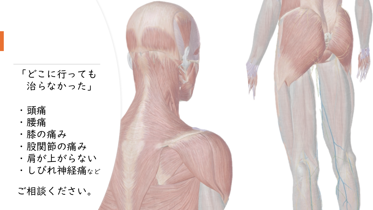みこがい整骨院